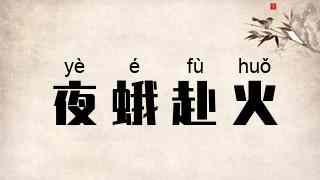 夜蛾赴火