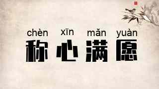 称心满愿