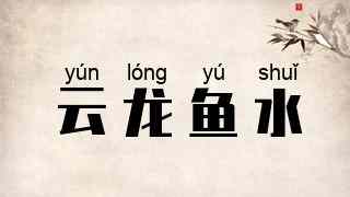 云龙鱼水