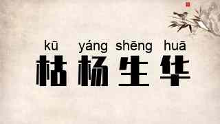 枯杨生华