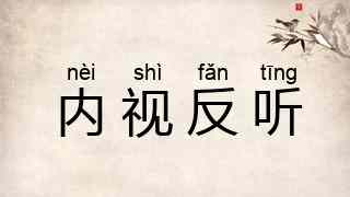 内视反听