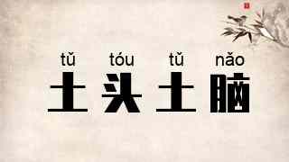 土头土脑