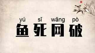 鱼死网破