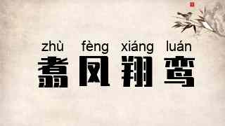翥凤翔鸾