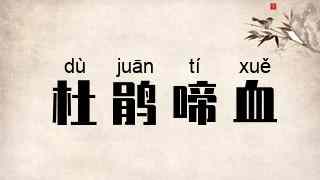 杜鹃啼血