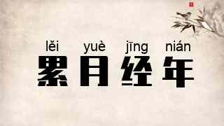 累月经年