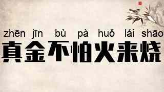 真金不怕火来烧