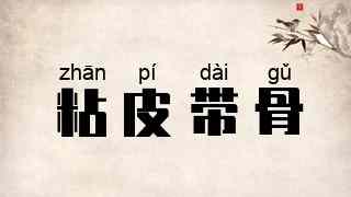 粘皮带骨