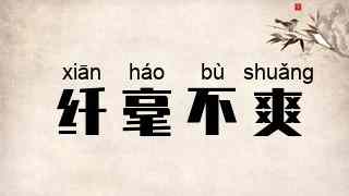 纤毫不爽