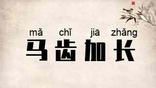 马齿加长