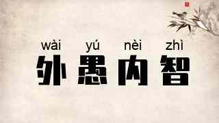 外愚内智