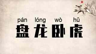 盘龙卧虎