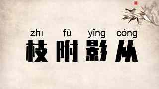 枝附影从