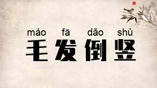 毛发倒竖