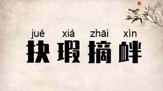 抉瑕摘衅