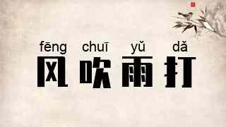 风吹雨打