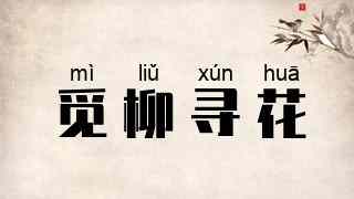 觅柳寻花