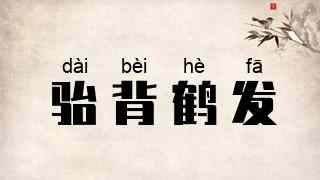 骀背鹤发