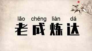 老成炼达