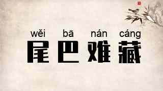 尾巴难藏