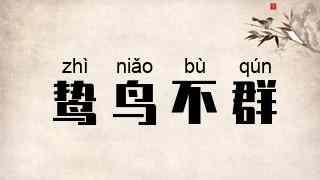 鸷鸟不群