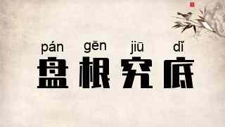 盘根究底