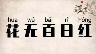 花无百日红