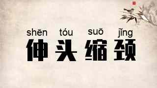 伸头缩颈