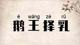 鹅王择乳