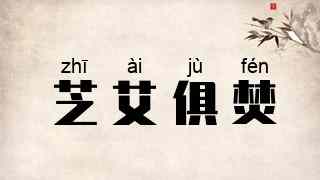 芝艾俱焚