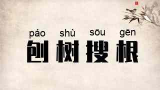 刨树搜根