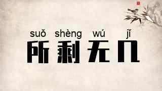 所剩无几