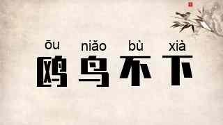 鸥鸟不下