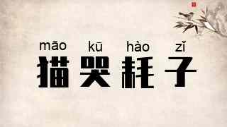 猫哭耗子