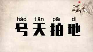 号天拍地