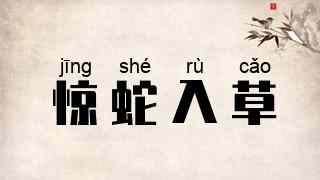 惊蛇入草