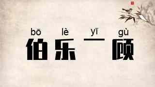 伯乐一顾