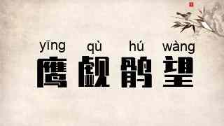 鹰觑鹘望