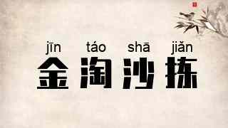 金淘沙拣