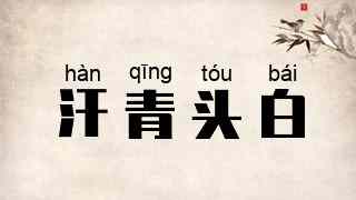 汗青头白