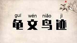 龟文鸟迹