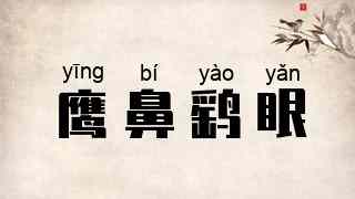 鹰鼻鹞眼
