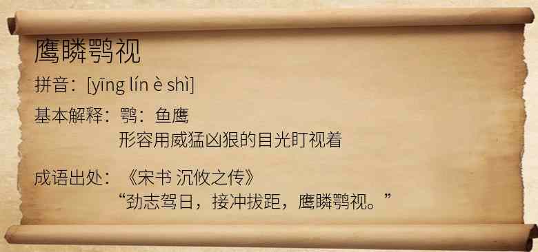 鹰瞵鹗视