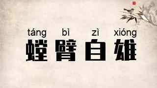 螳臂自雄