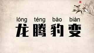龙腾豹变