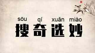 搜奇选妙