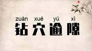 钻穴逾隙