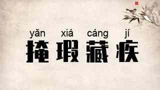 掩瑕藏疾
