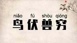 鸟伏兽穷