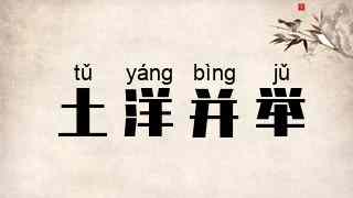 土洋并举